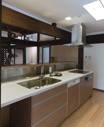 �Ö��ƍĐ��@�w���H�̉�28