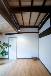 �Ö��ƍĐ��@�w���H�̉�47